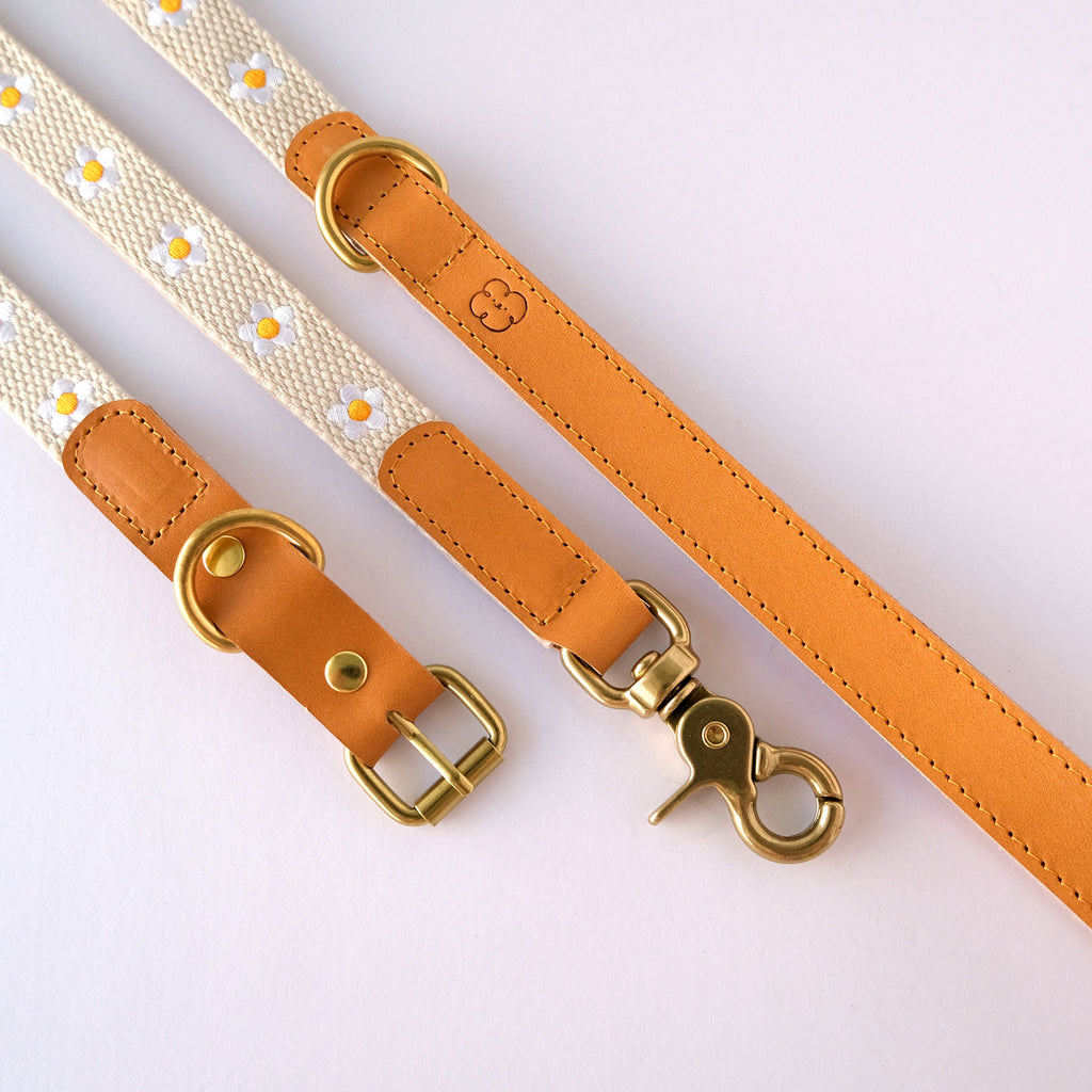Daisy Dog Leash - Beige