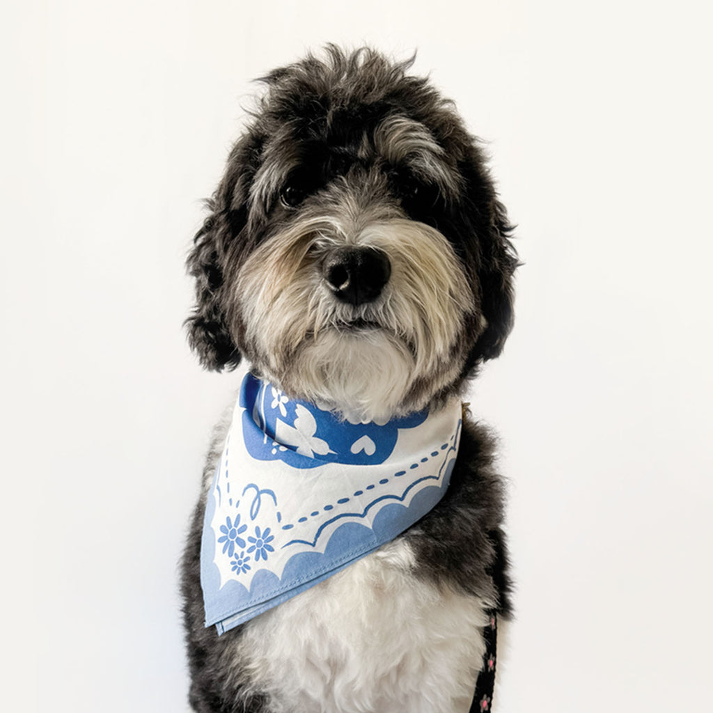 Matisse Bandana