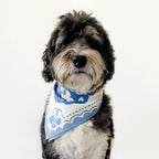 Matisse Bandana