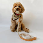 Daisy Dog Collar - Beige
