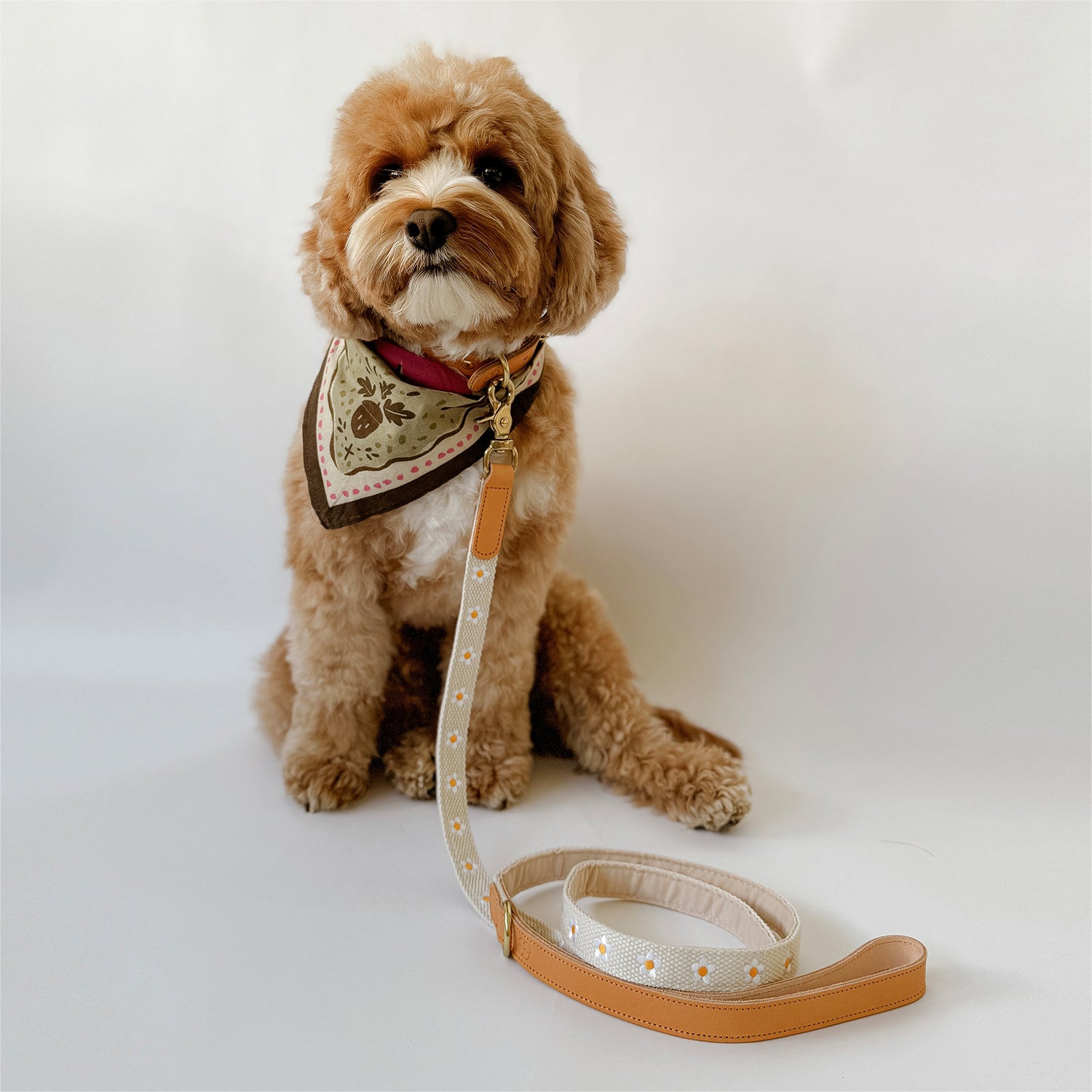 Daisy Dog Leash - Beige