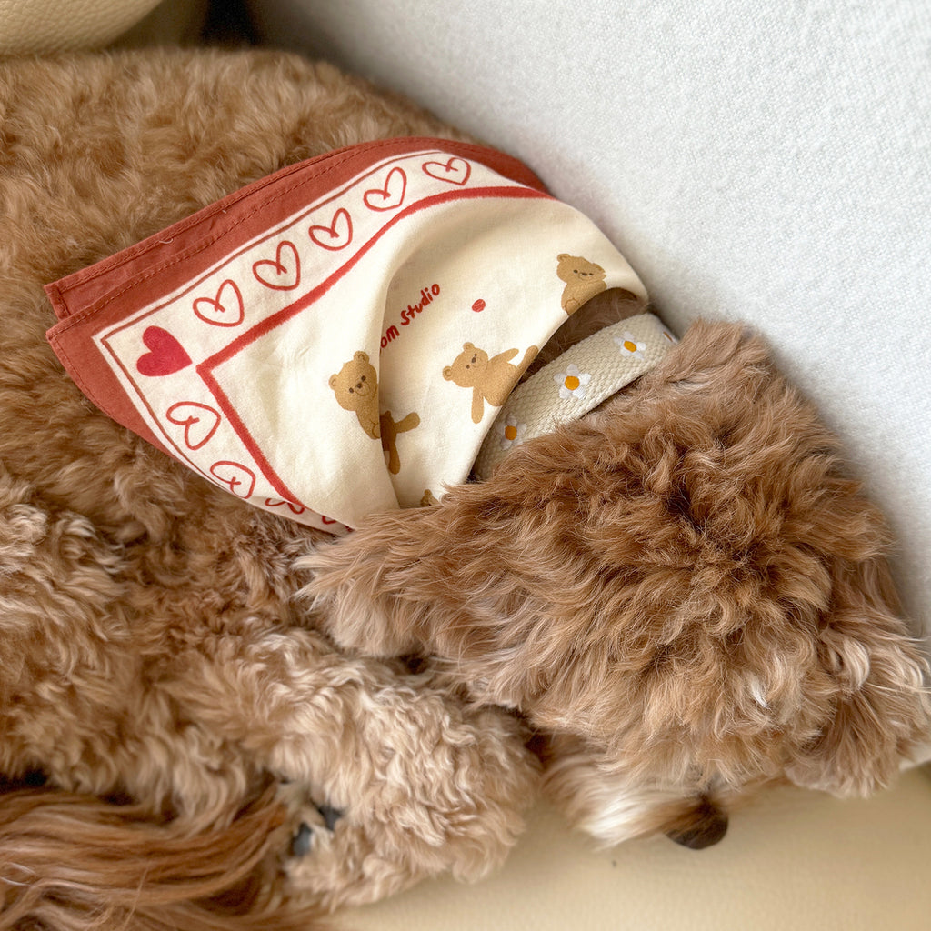 Daisy Collar and Leash - Beige