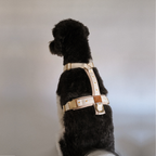 Daisy Dog Harness