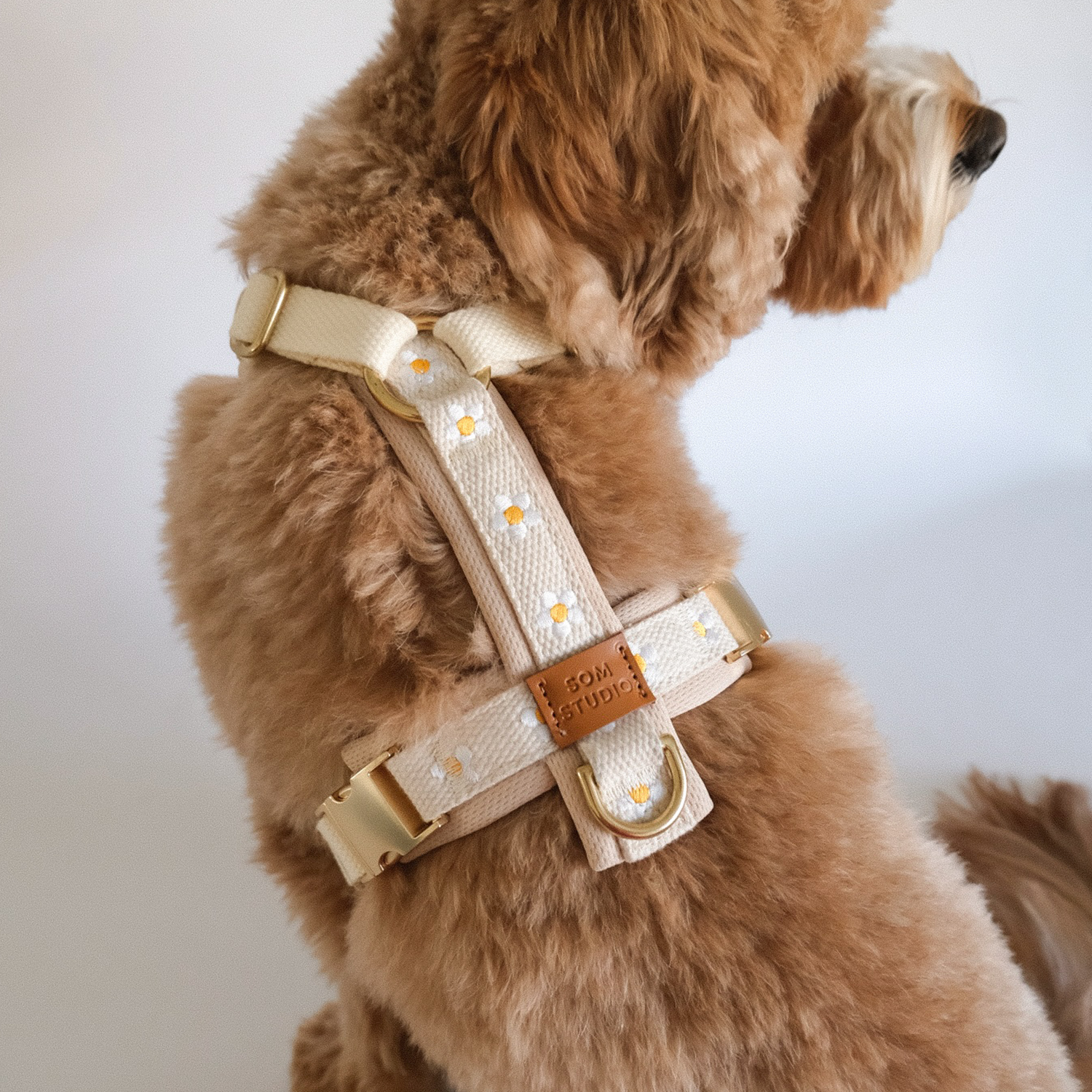 Daisy Dog Harness