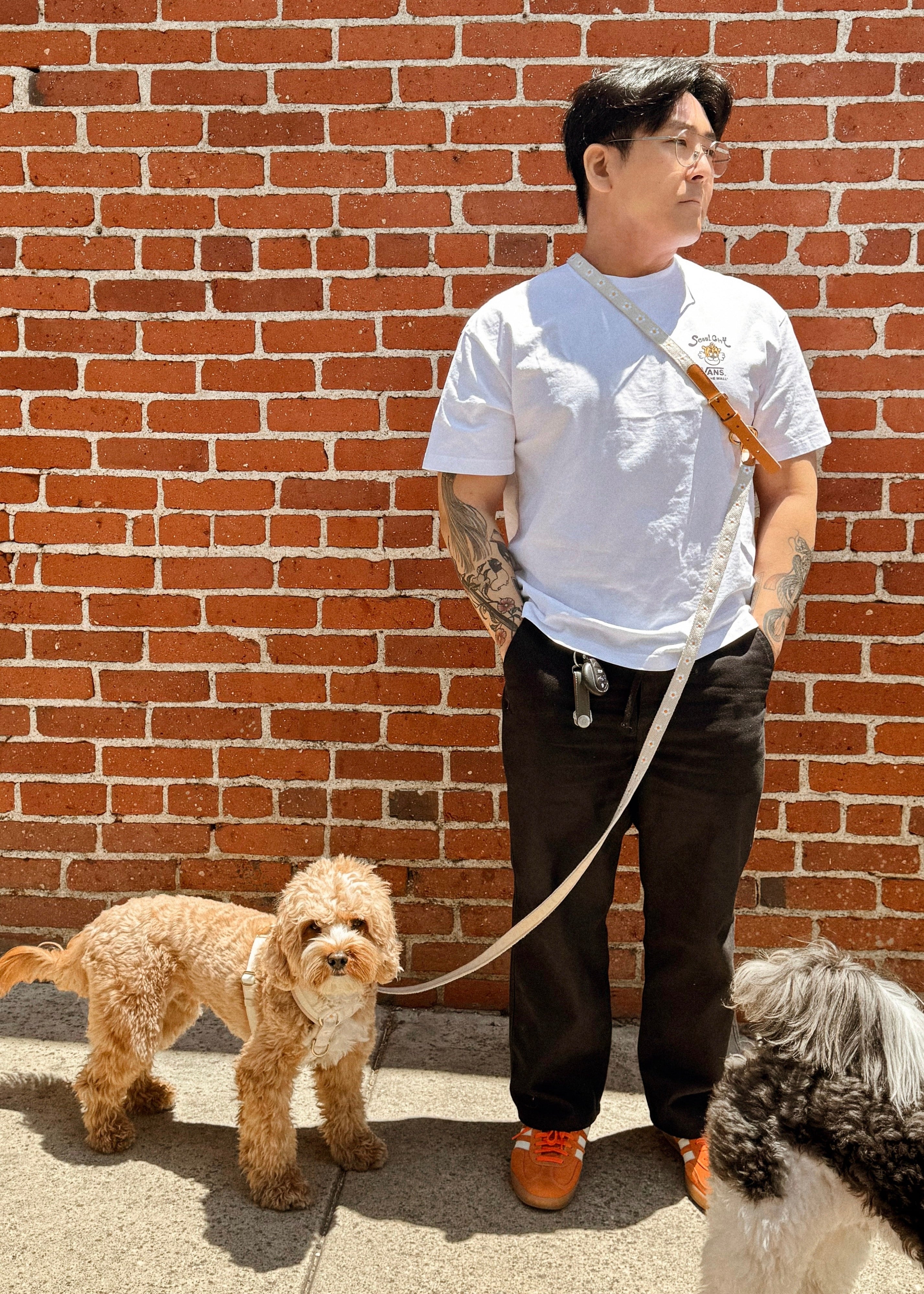 Daisy Hands-Free Dog Leash Adapter