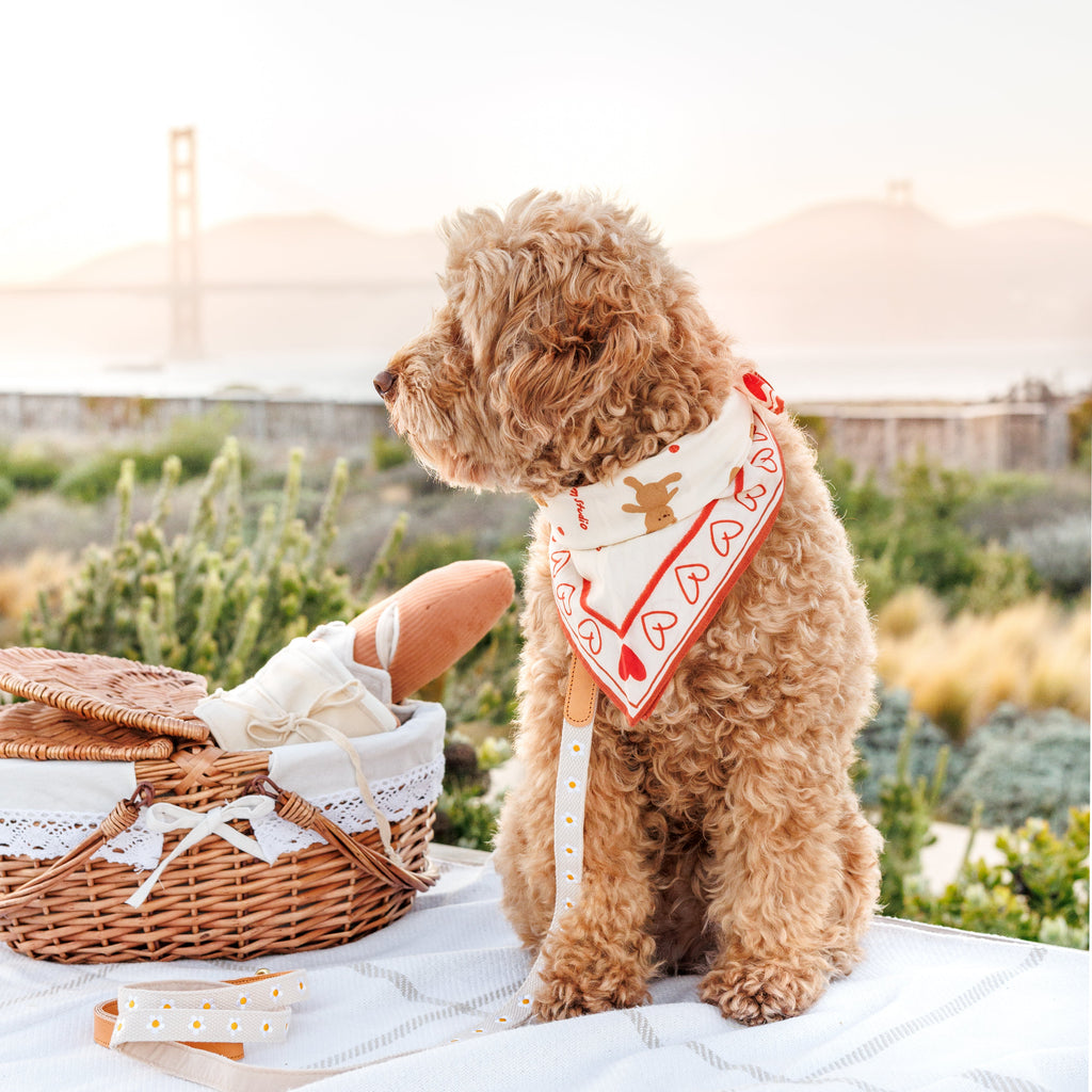 Teddy Bear Bandana
