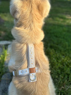 Daisy Dog Harness