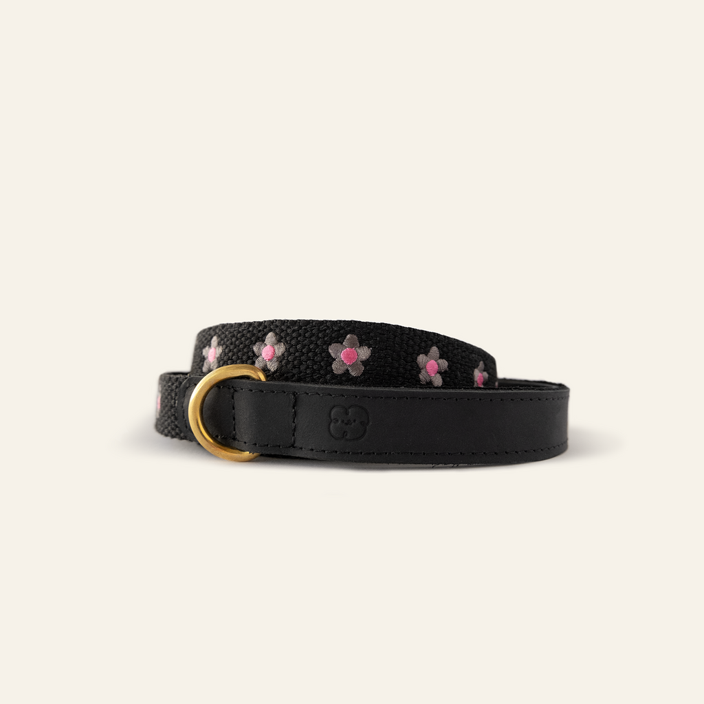 Daisy Collar and Leash - Black
