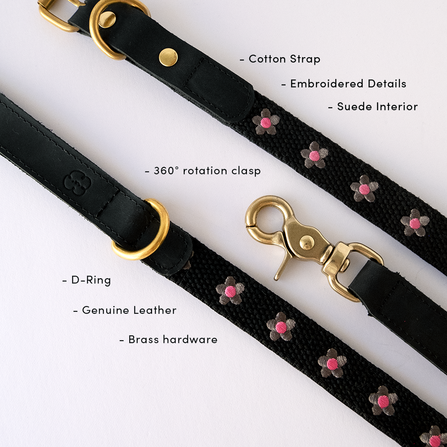 Daisy Collar and Leash - Black