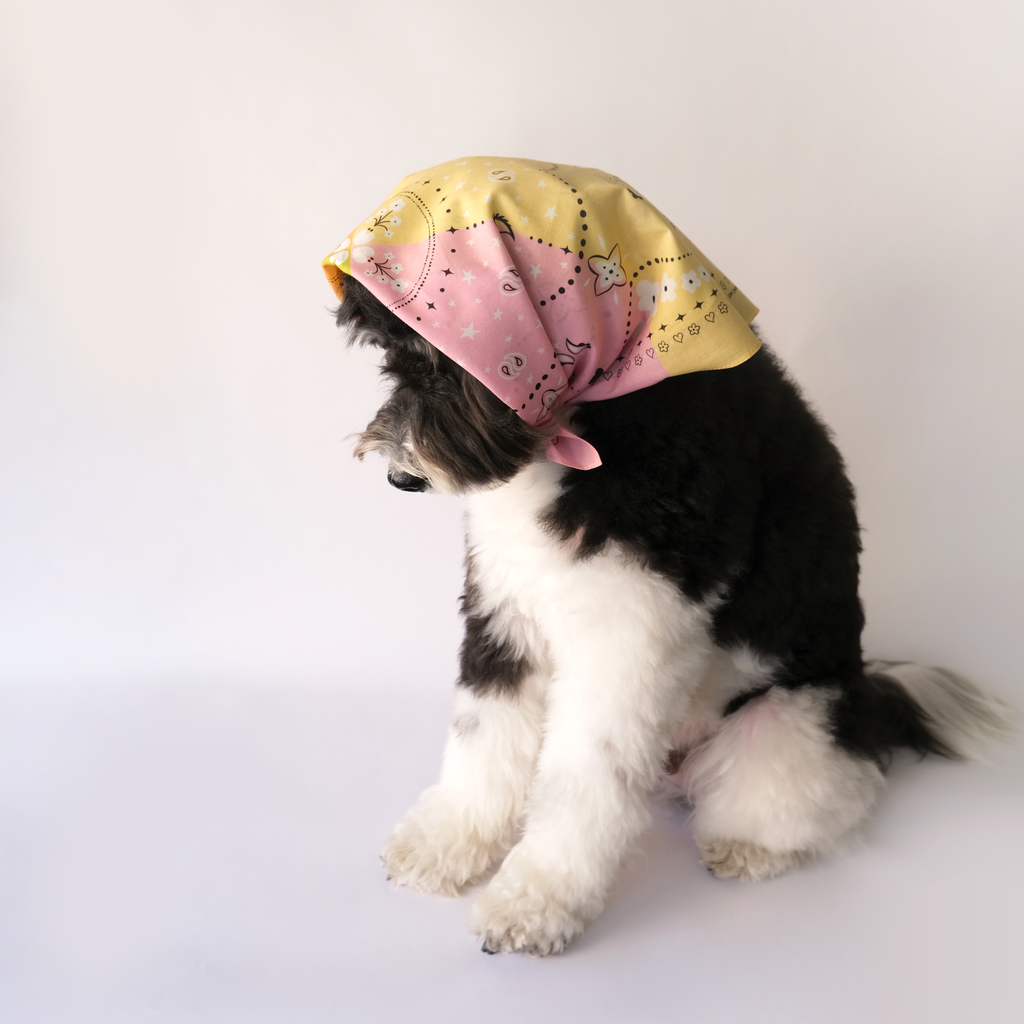 Paisley Bandana - Multi Color