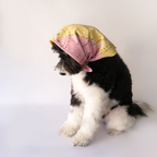 Paisley Bandana - Multi Color