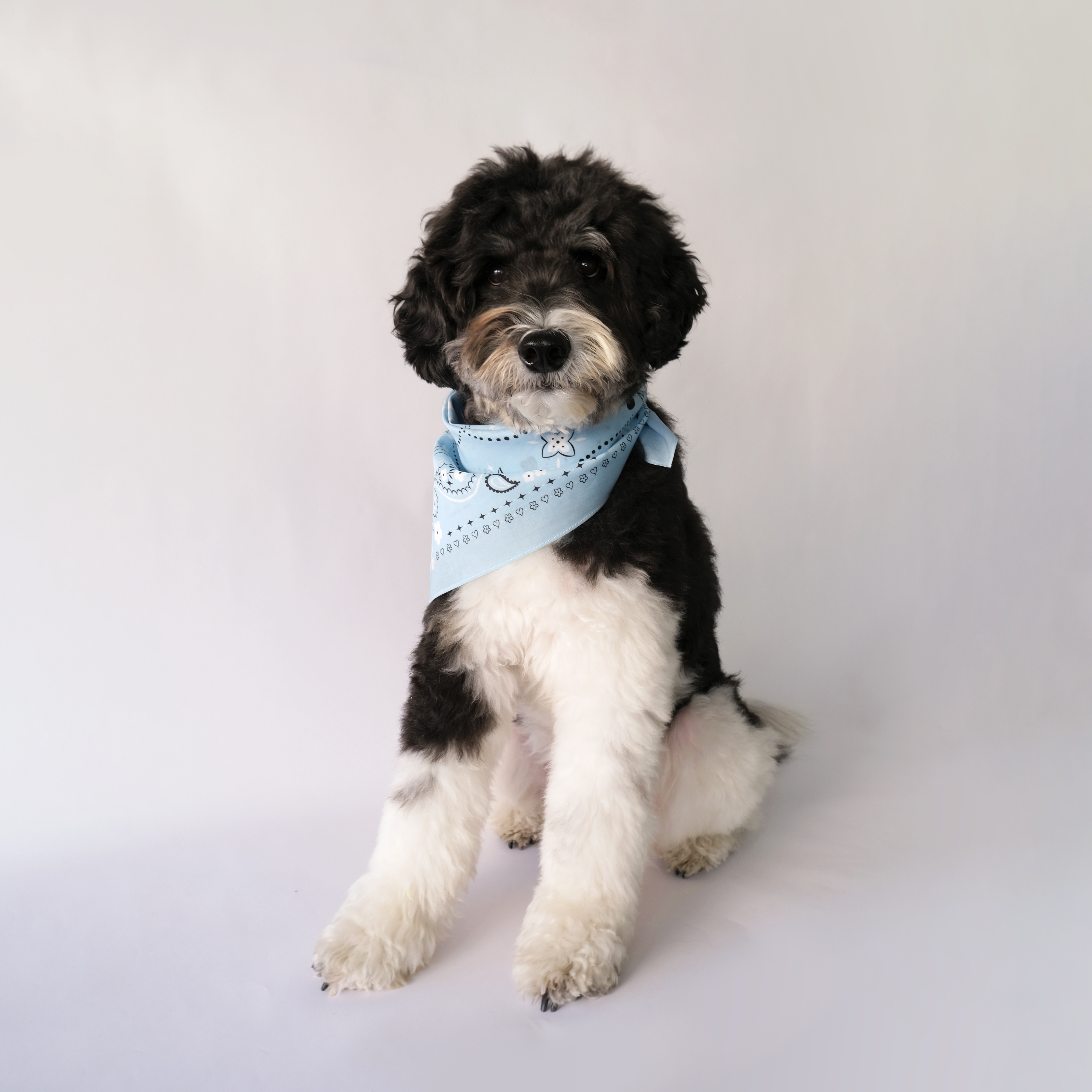 Bandana Bundle