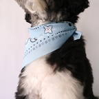 Paisley Bandana - Blue
