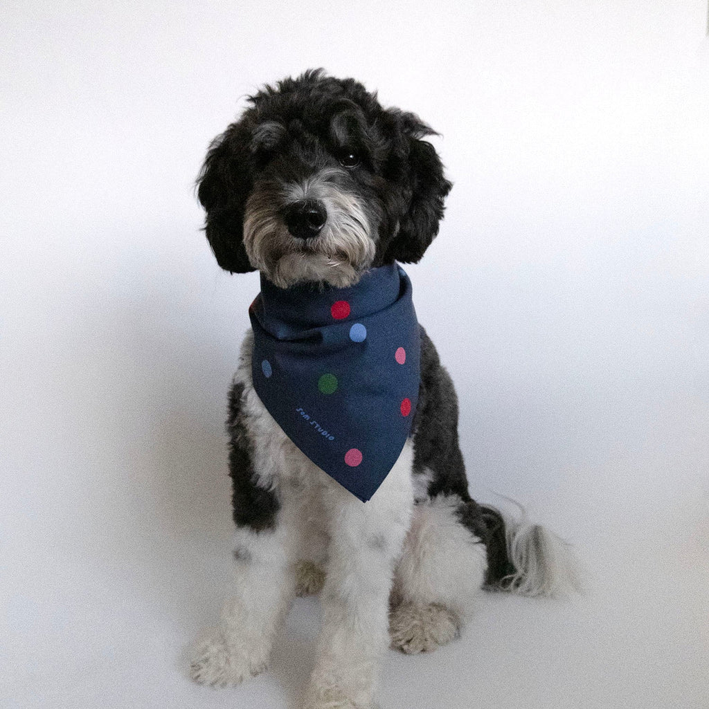 Polka Dot Bandana