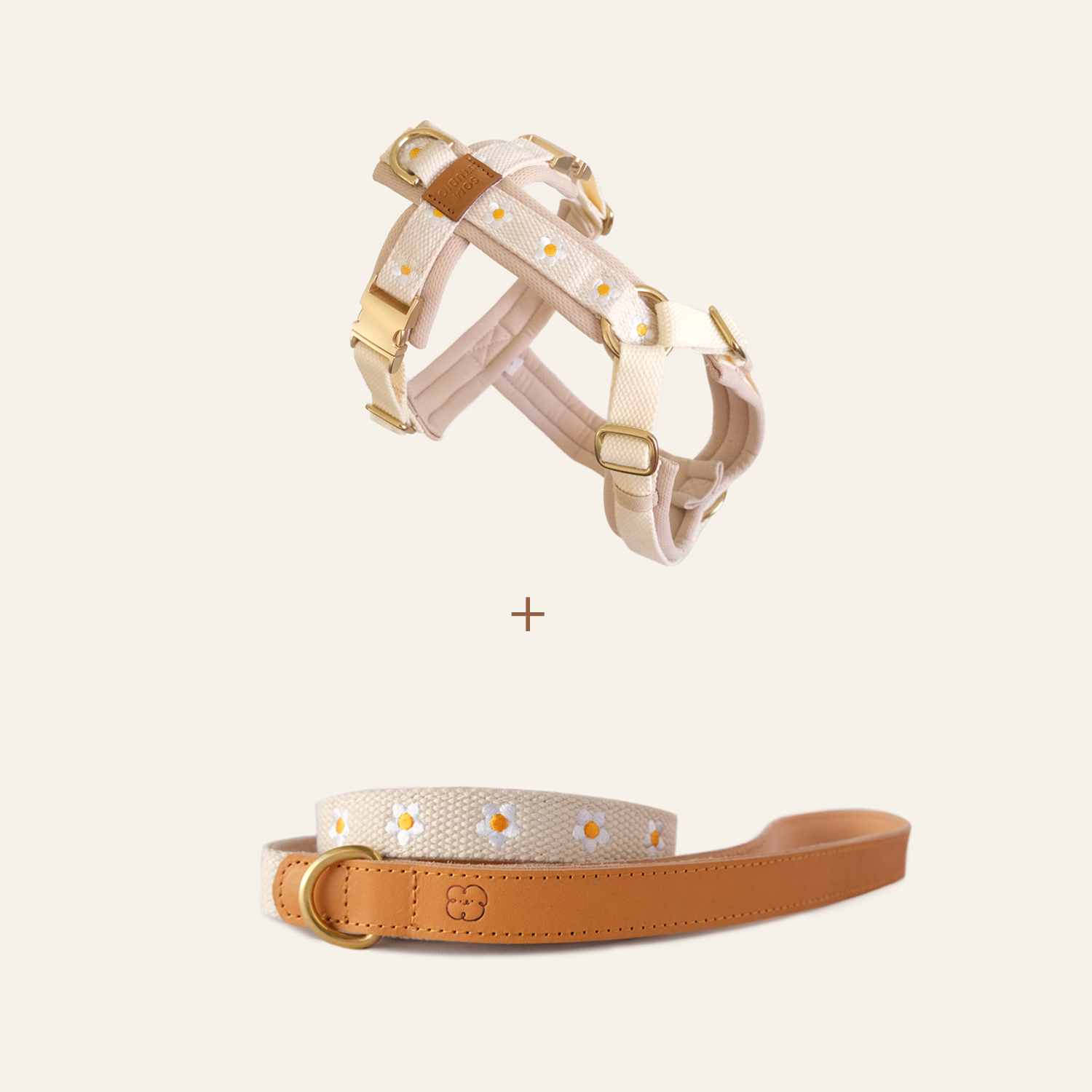 Daisy Harness and Leash