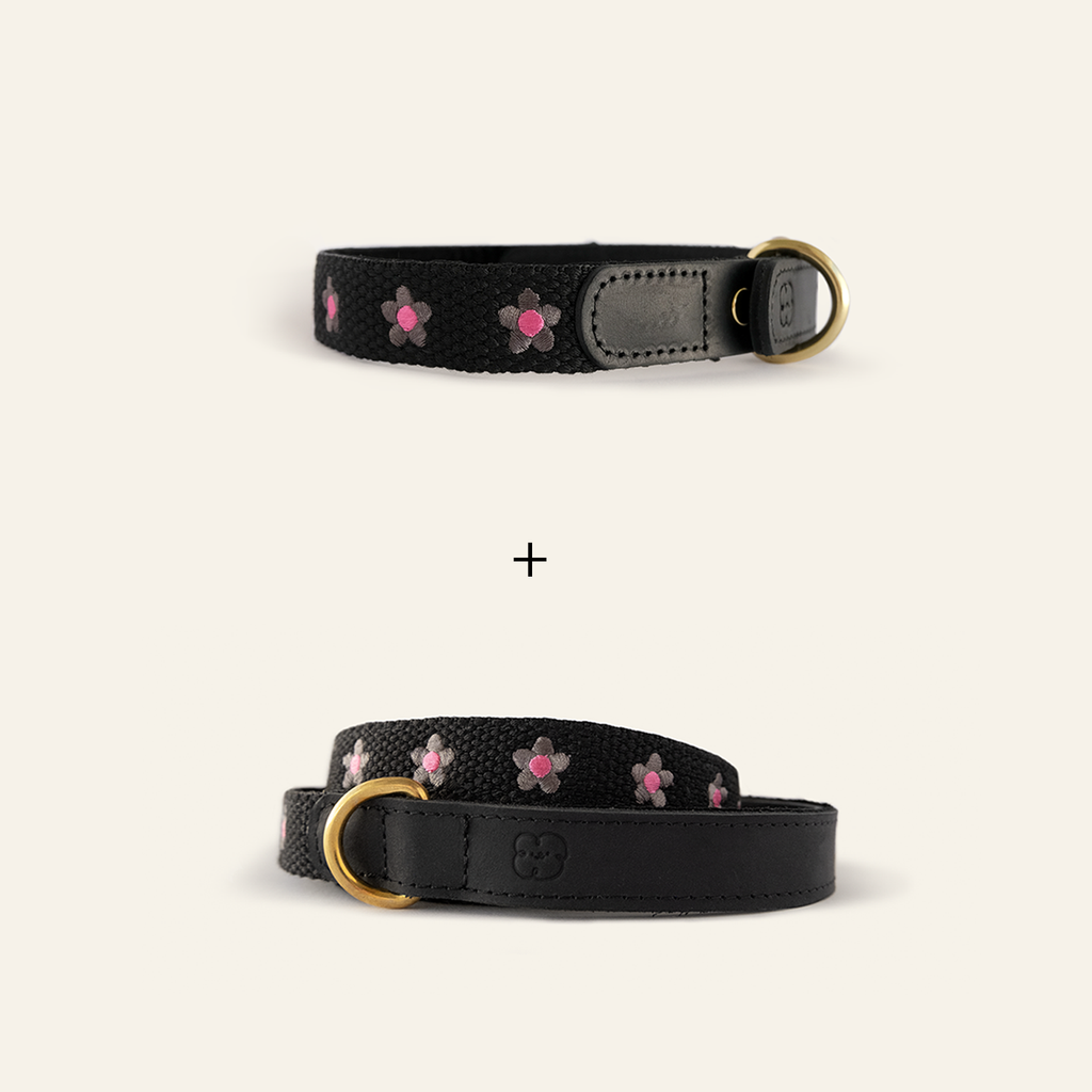 Daisy Collar and Leash - Black