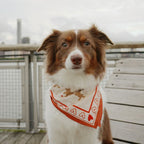 Teddy Bear Bandana