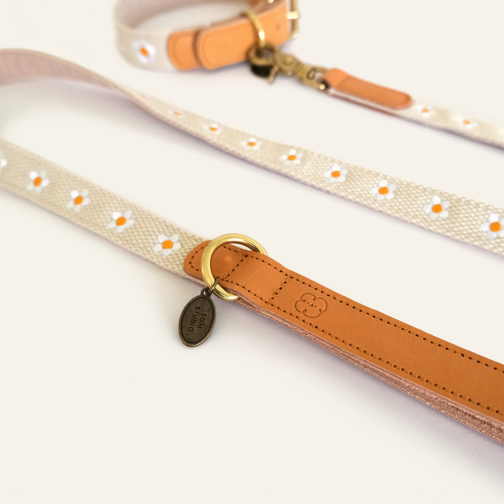 Daisy Collar and Leash - Beige
