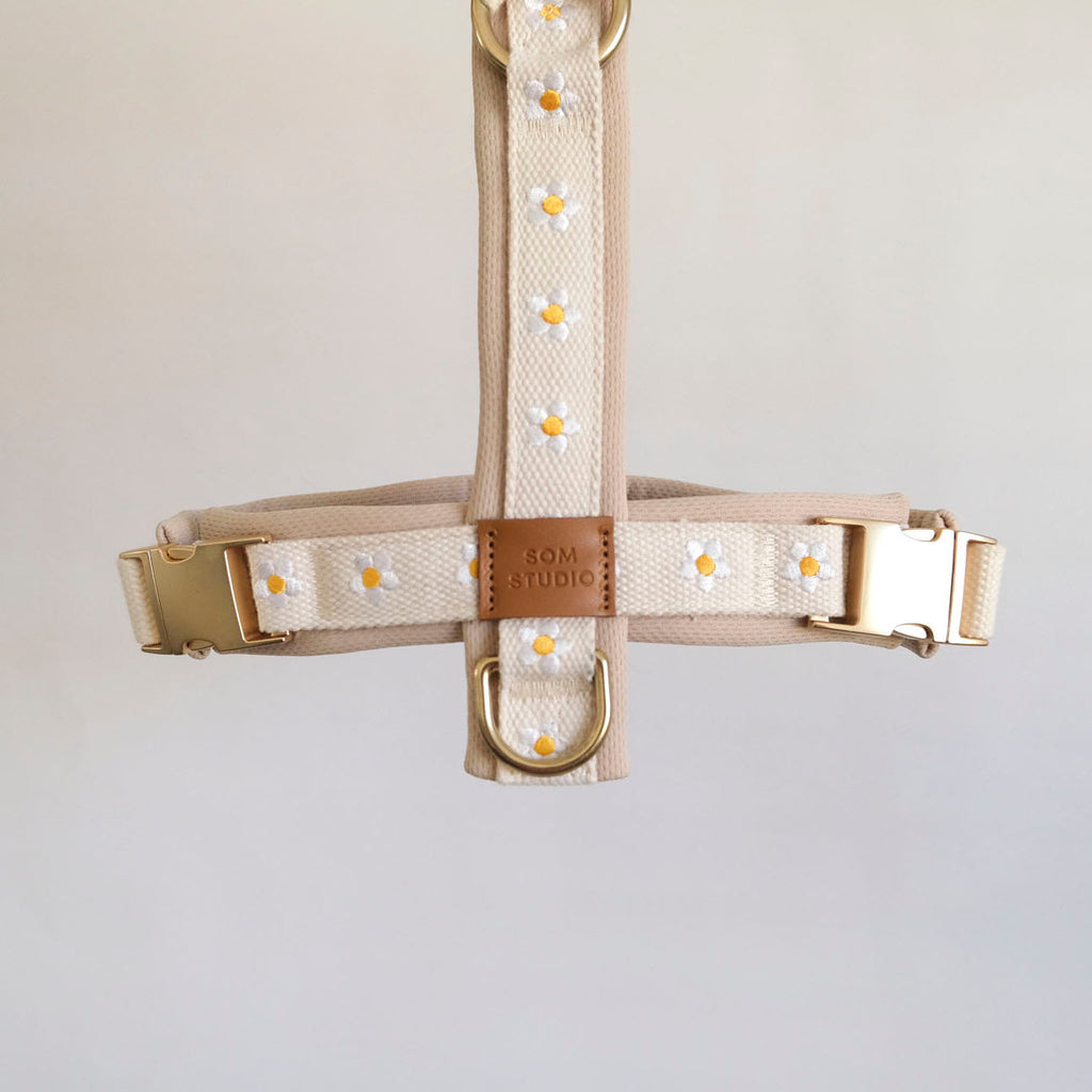 Daisy Dog Harness