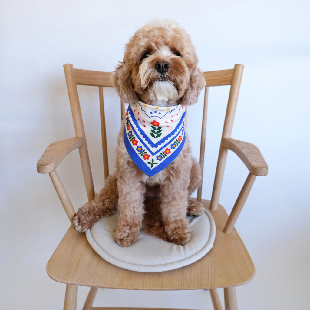 Scandinavian Bandana