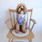 Scandinavian Bandana