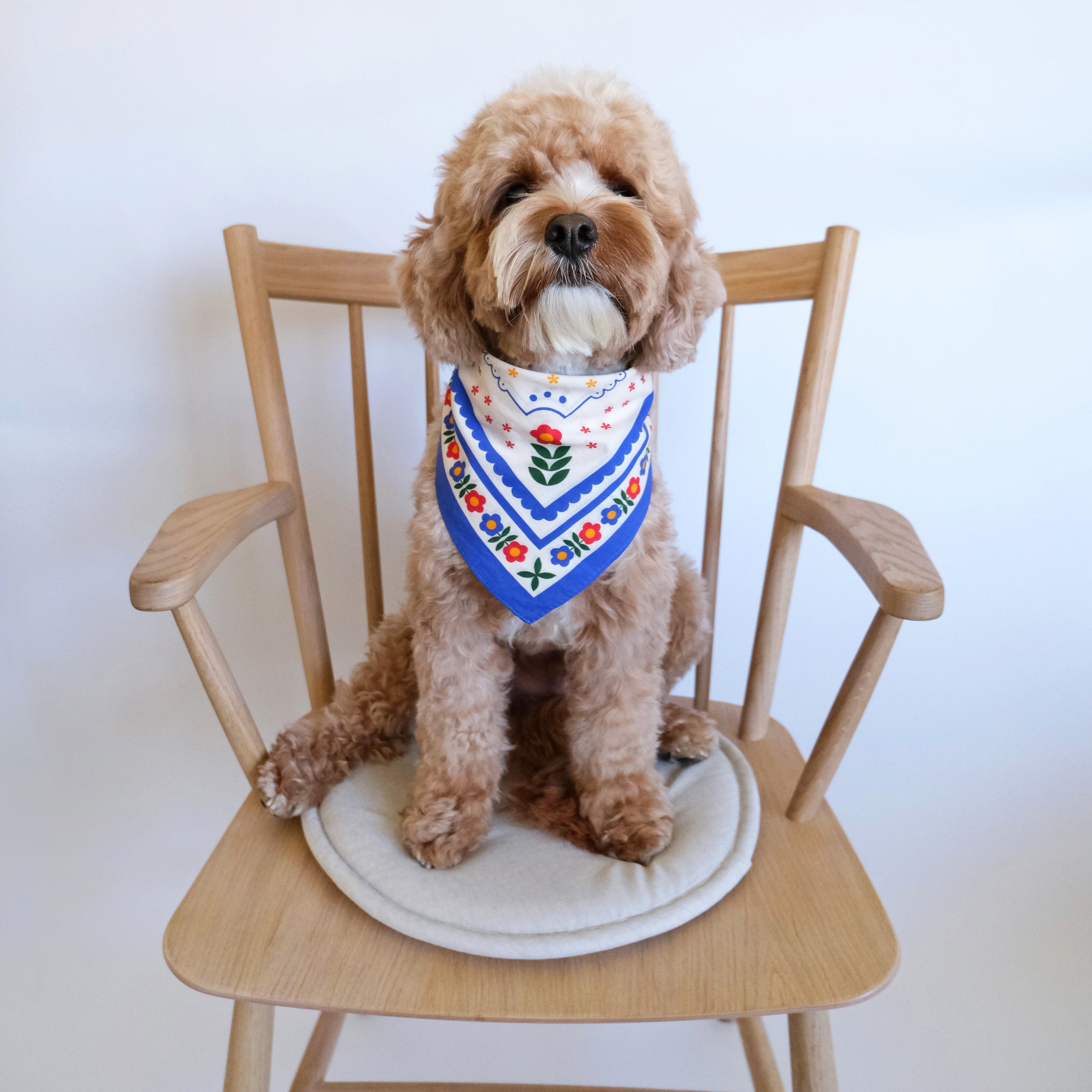 Scandinavian Bandana