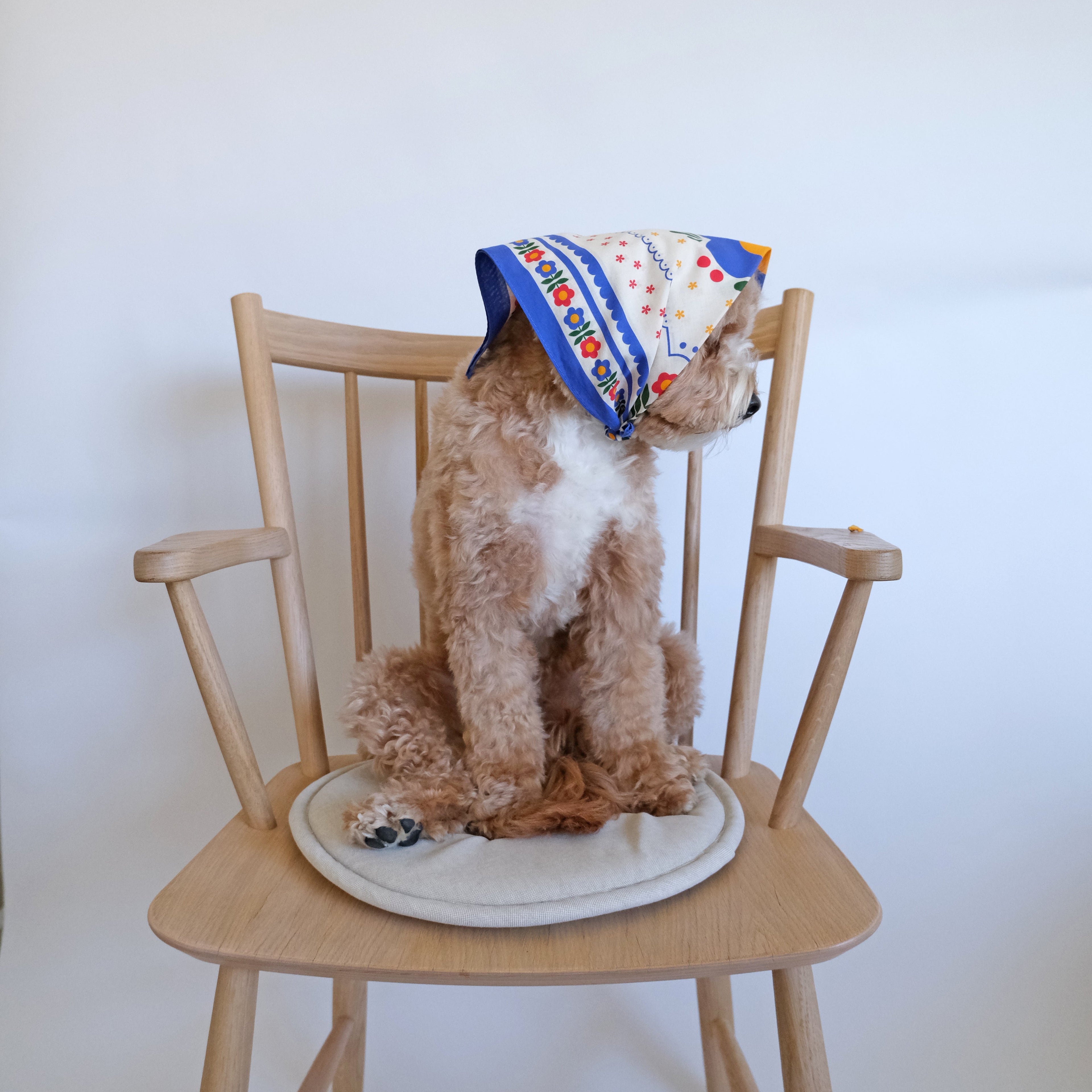 Scandinavian Bandana