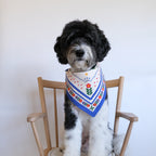 Scandinavian Bandana