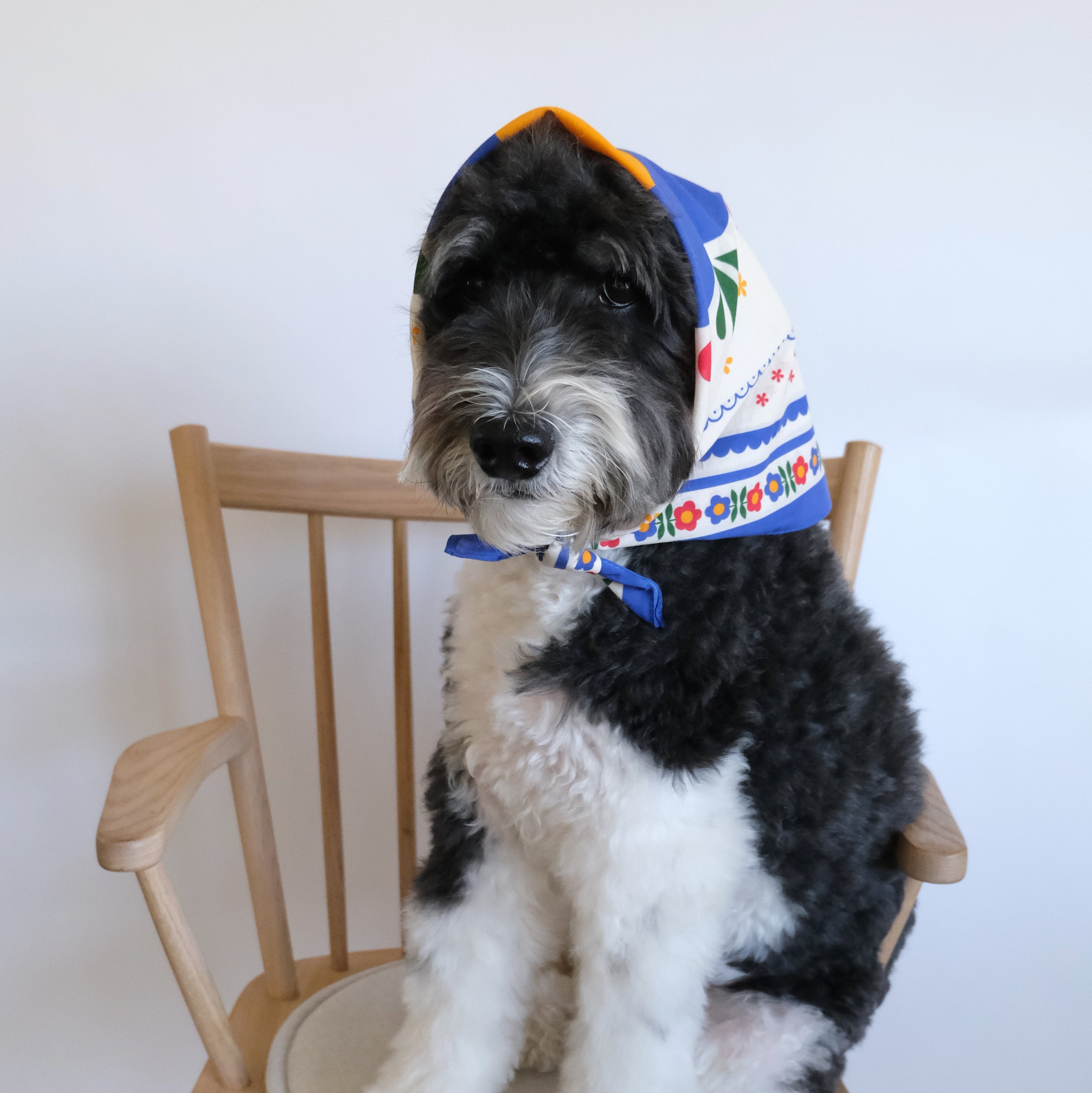 Scandinavian Bandana