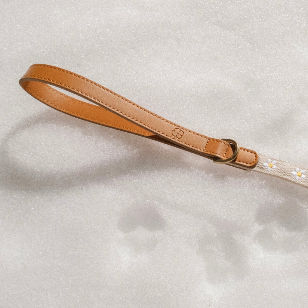 Daisy Dog Leash - Beige