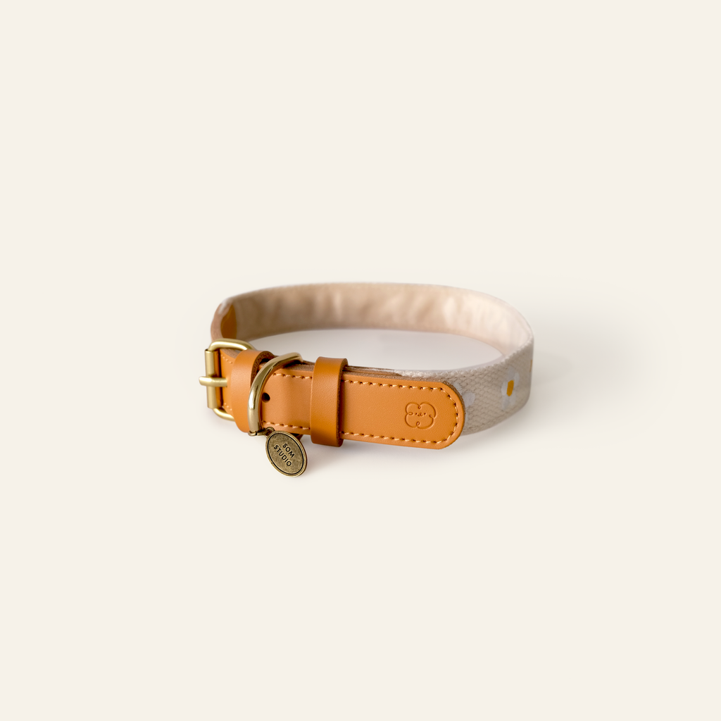 Daisy Dog Collar - Beige