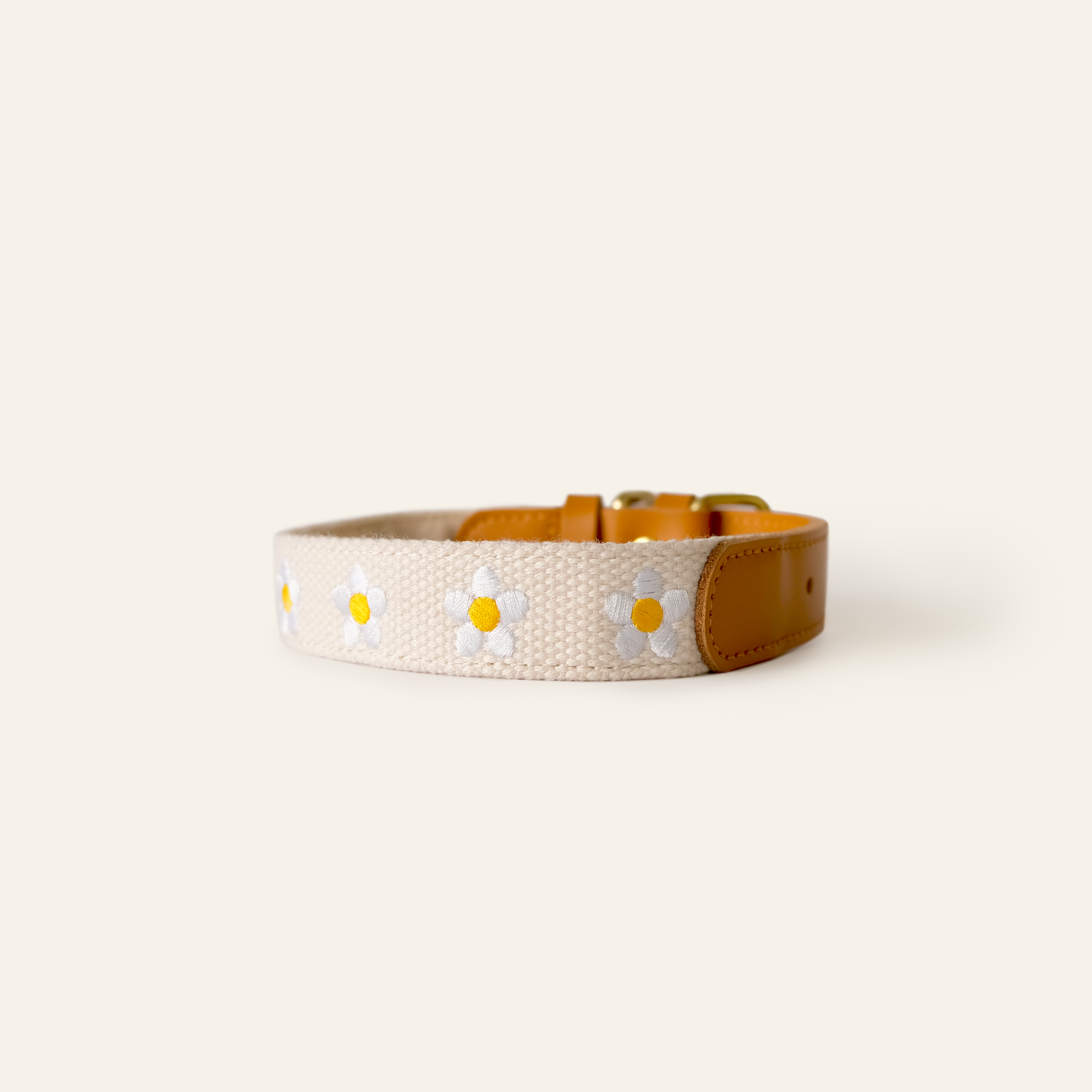 Daisy Dog Collar - Beige