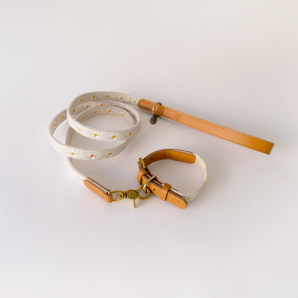 Daisy Dog Leash - Beige