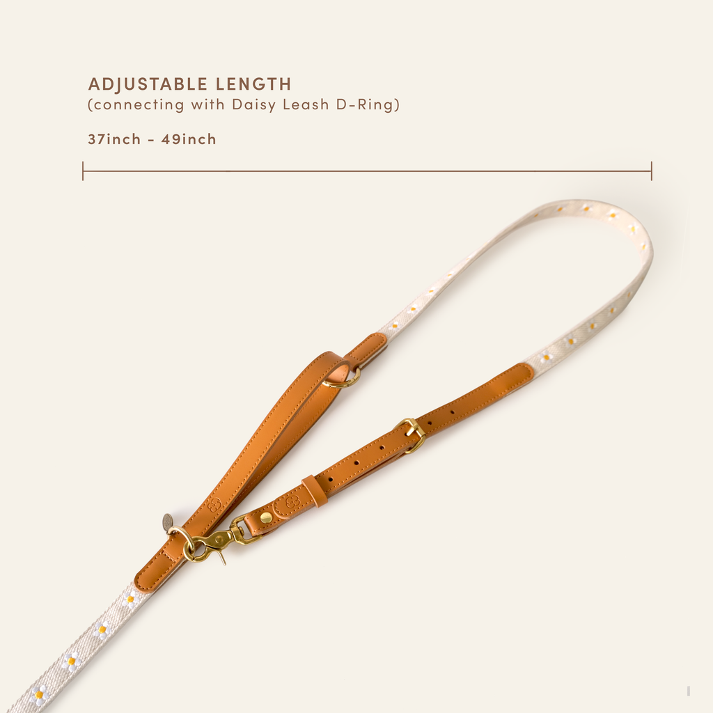 Daisy Hands-Free Dog Leash Adapter