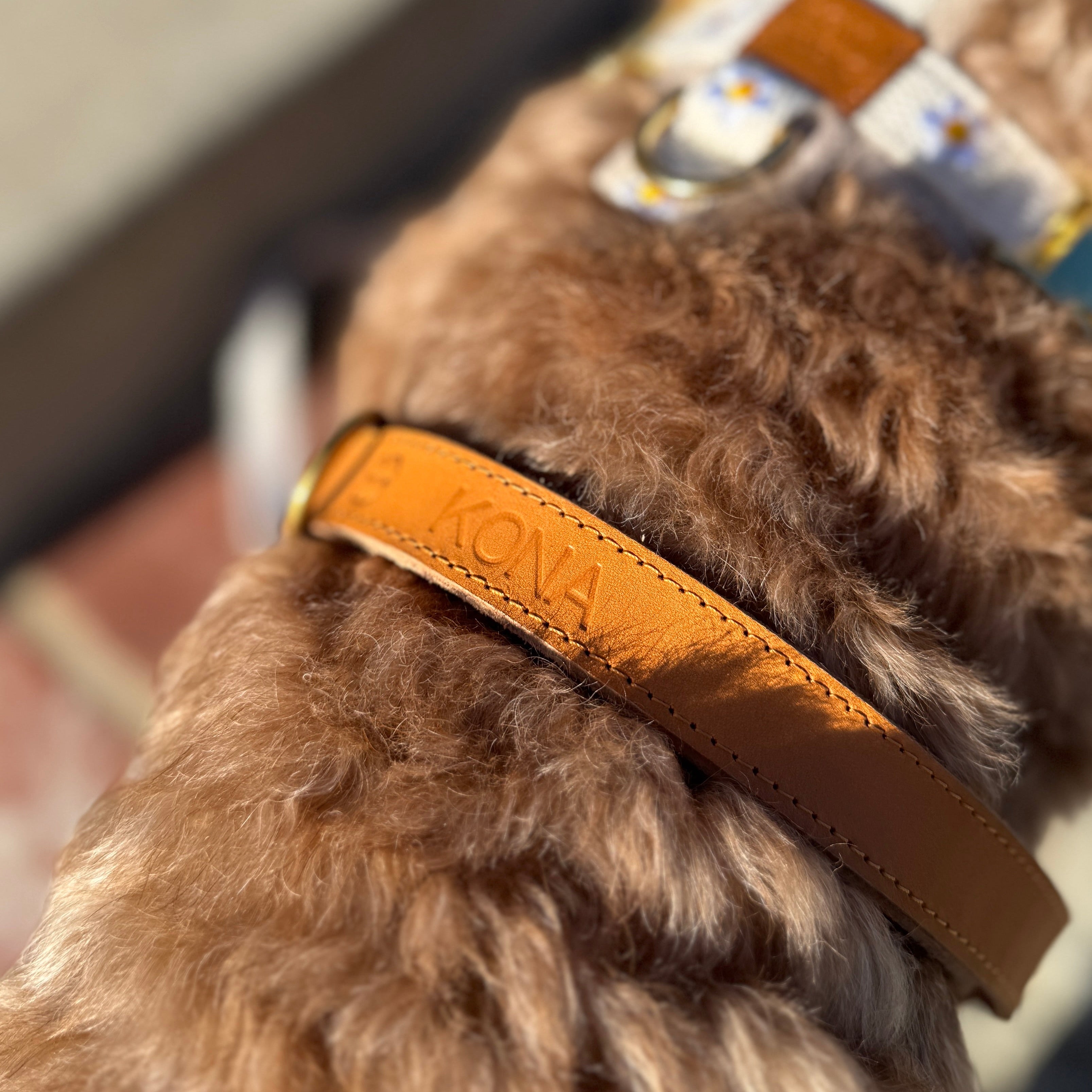 Daisy Dog Leash - Beige