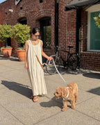 Daisy Collar & Leash & Hands-Free Leash Adapter