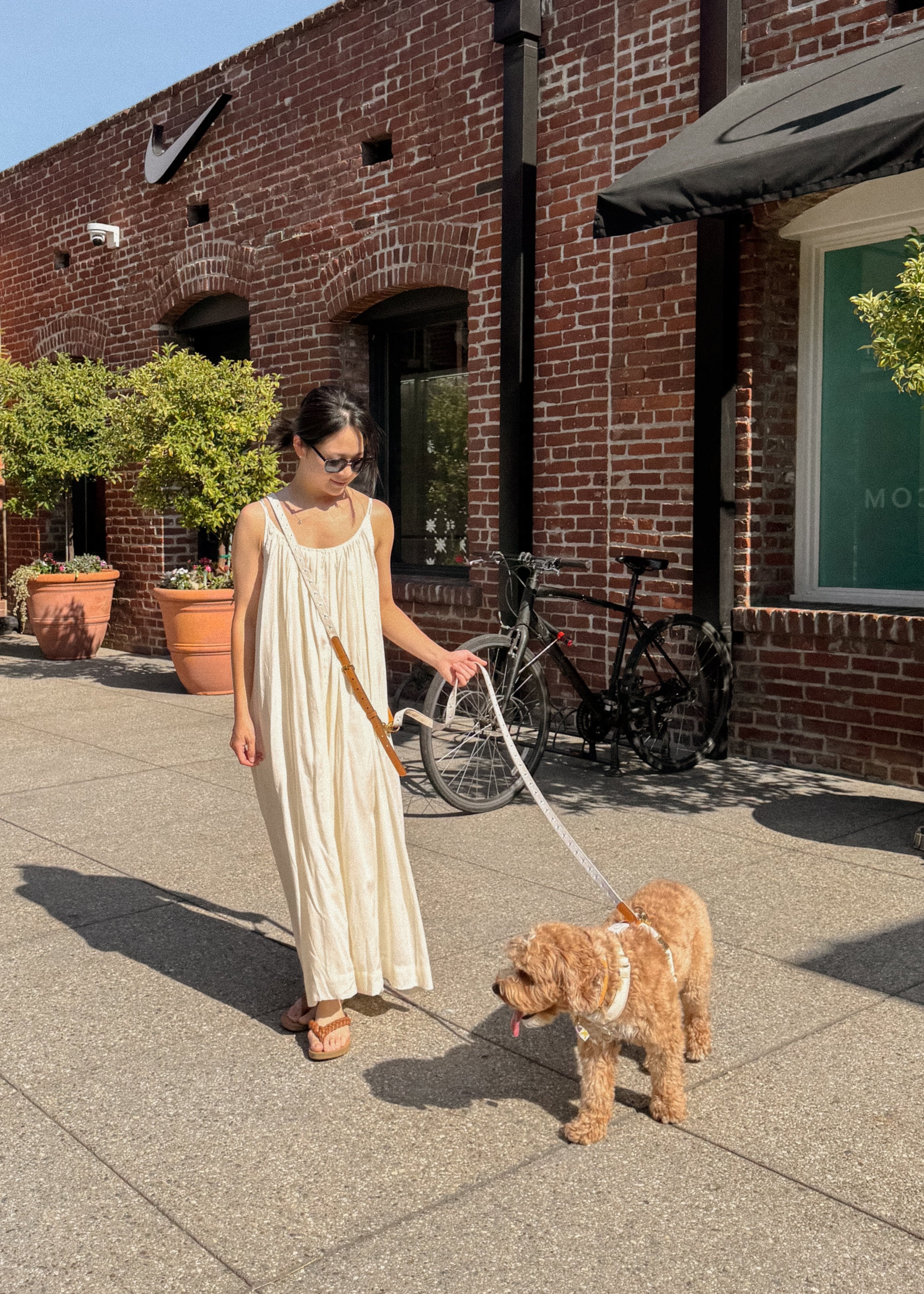 Daisy Hands-Free Dog Leash Adapter