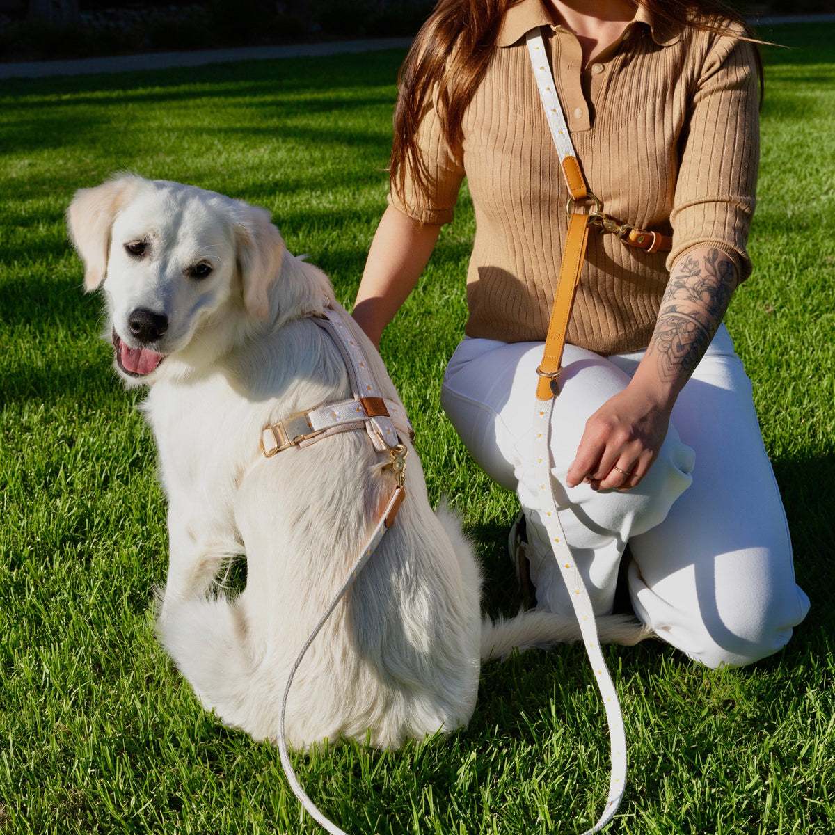 Daisy Harness & Hands-Free Leash