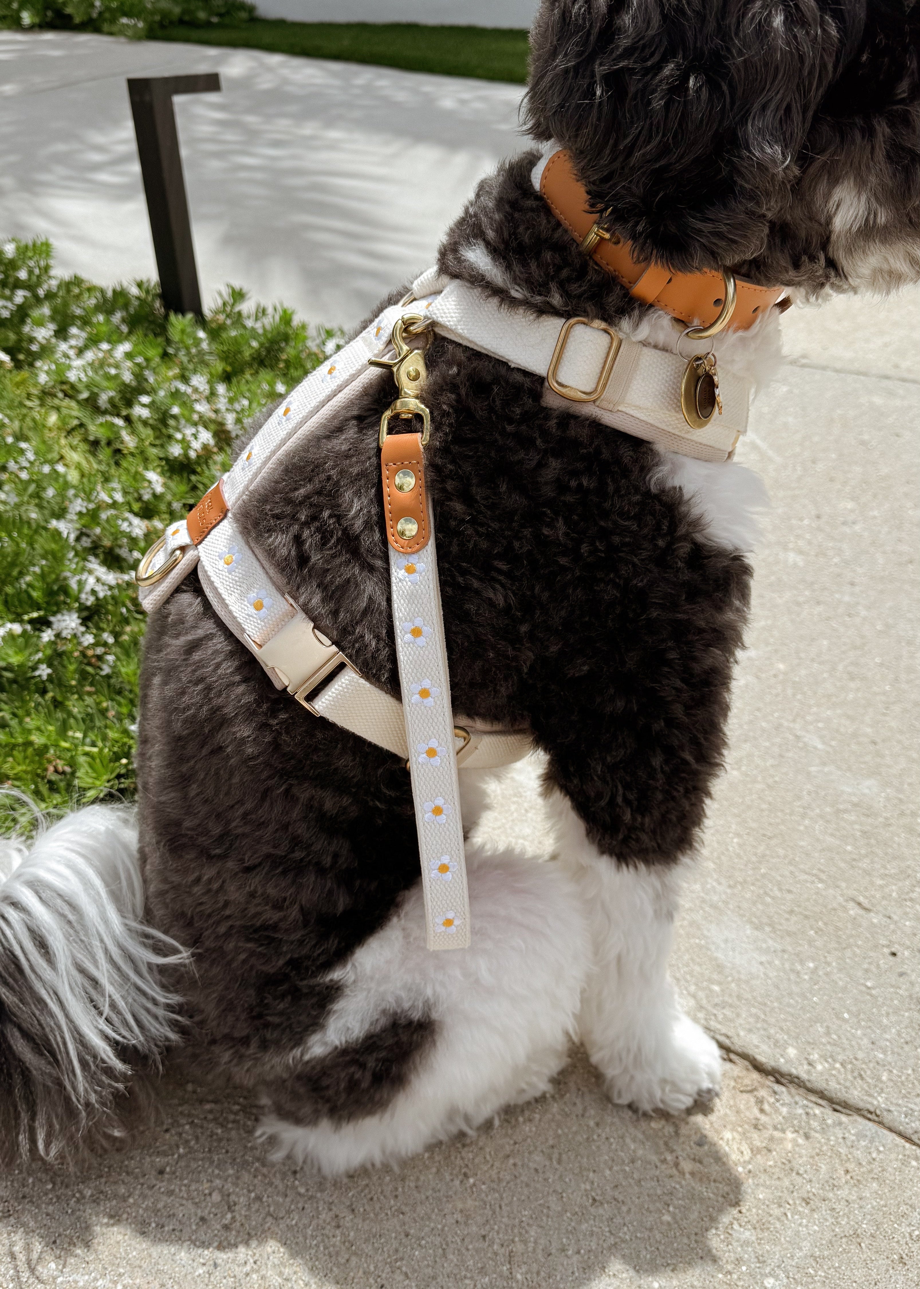 Daisy Dog Traffic Handle