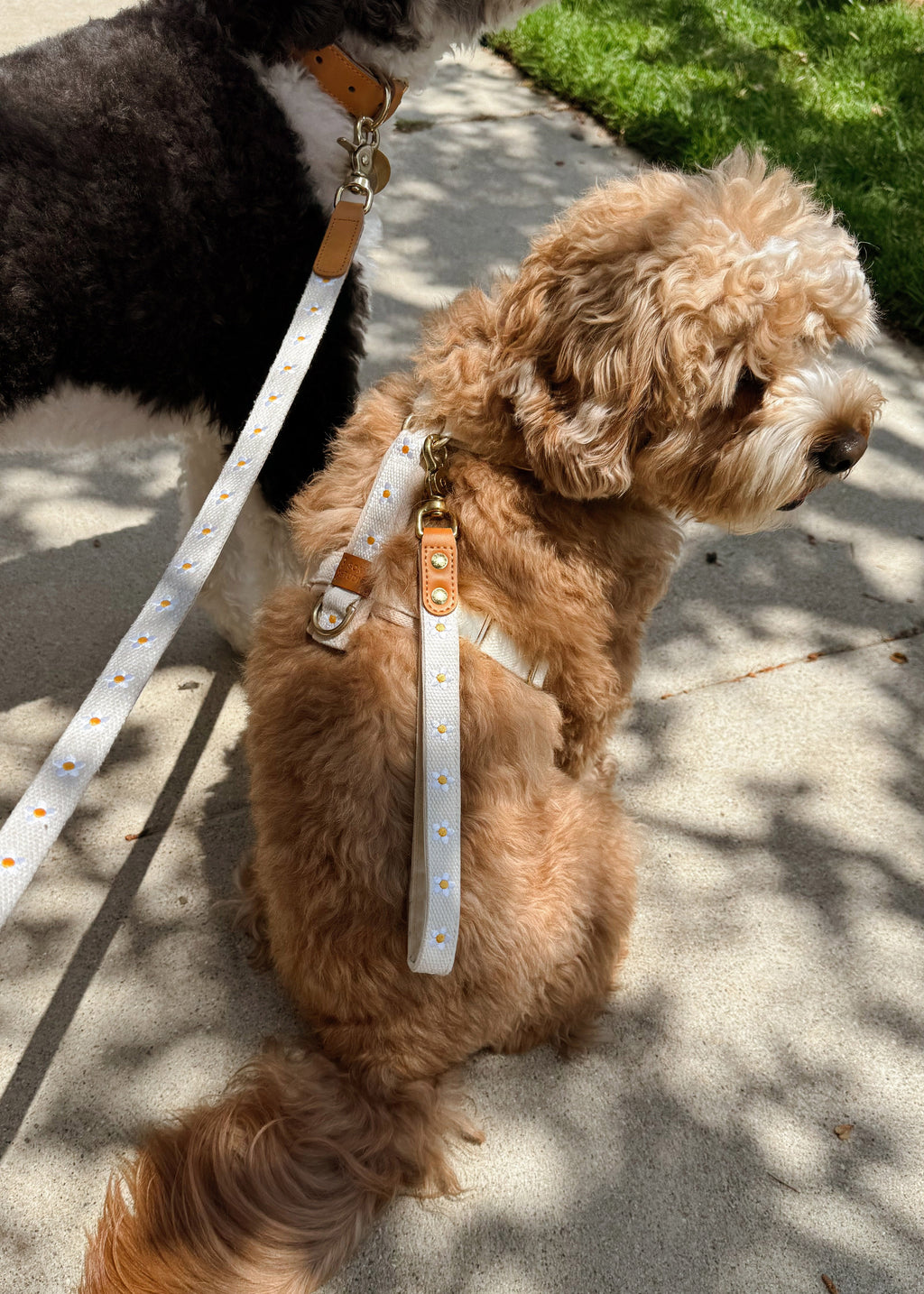 Daisy Dog Traffic Handle