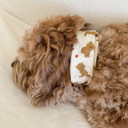 Teddy Bear Bandana