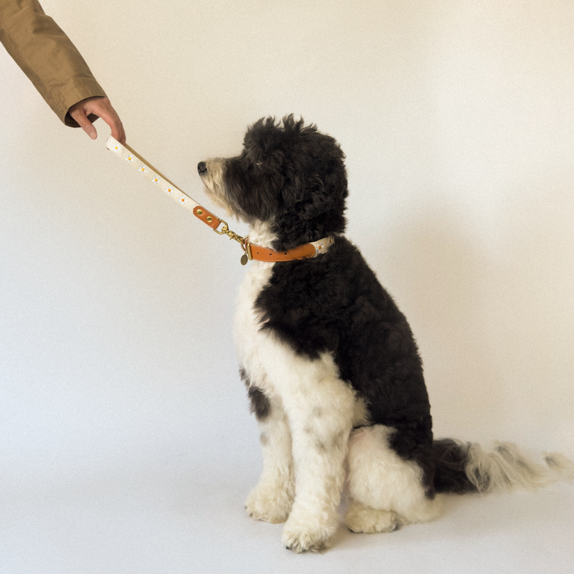 Daisy Dog Traffic Handle