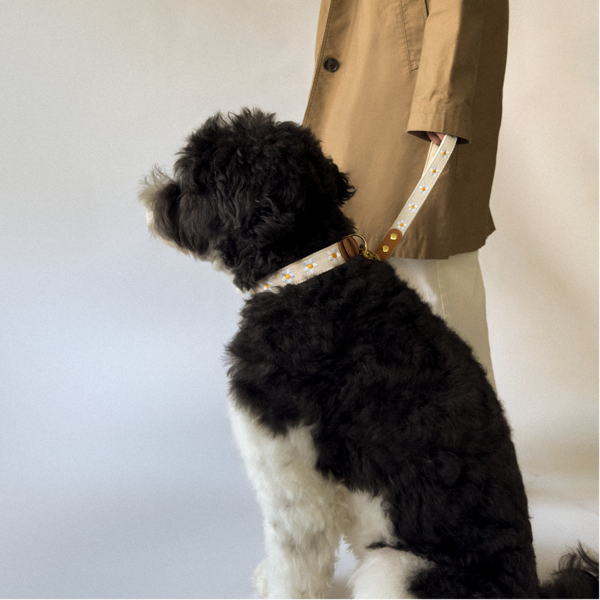 Daisy Dog Traffic Handle