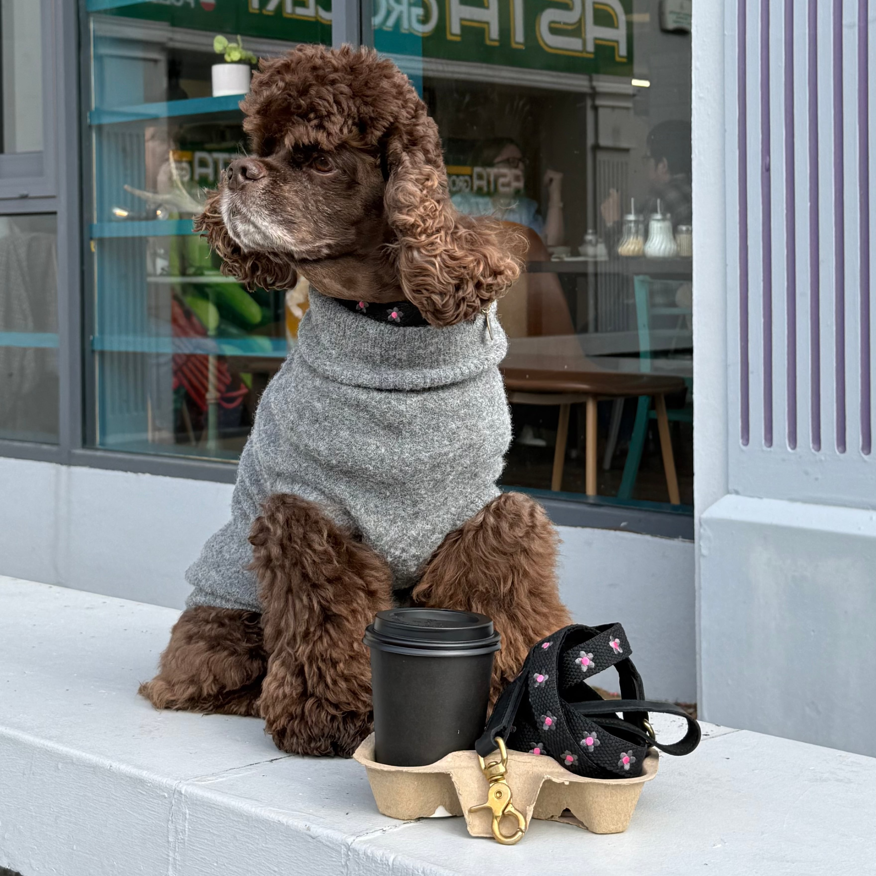 Daisy Dog Collar - Black
