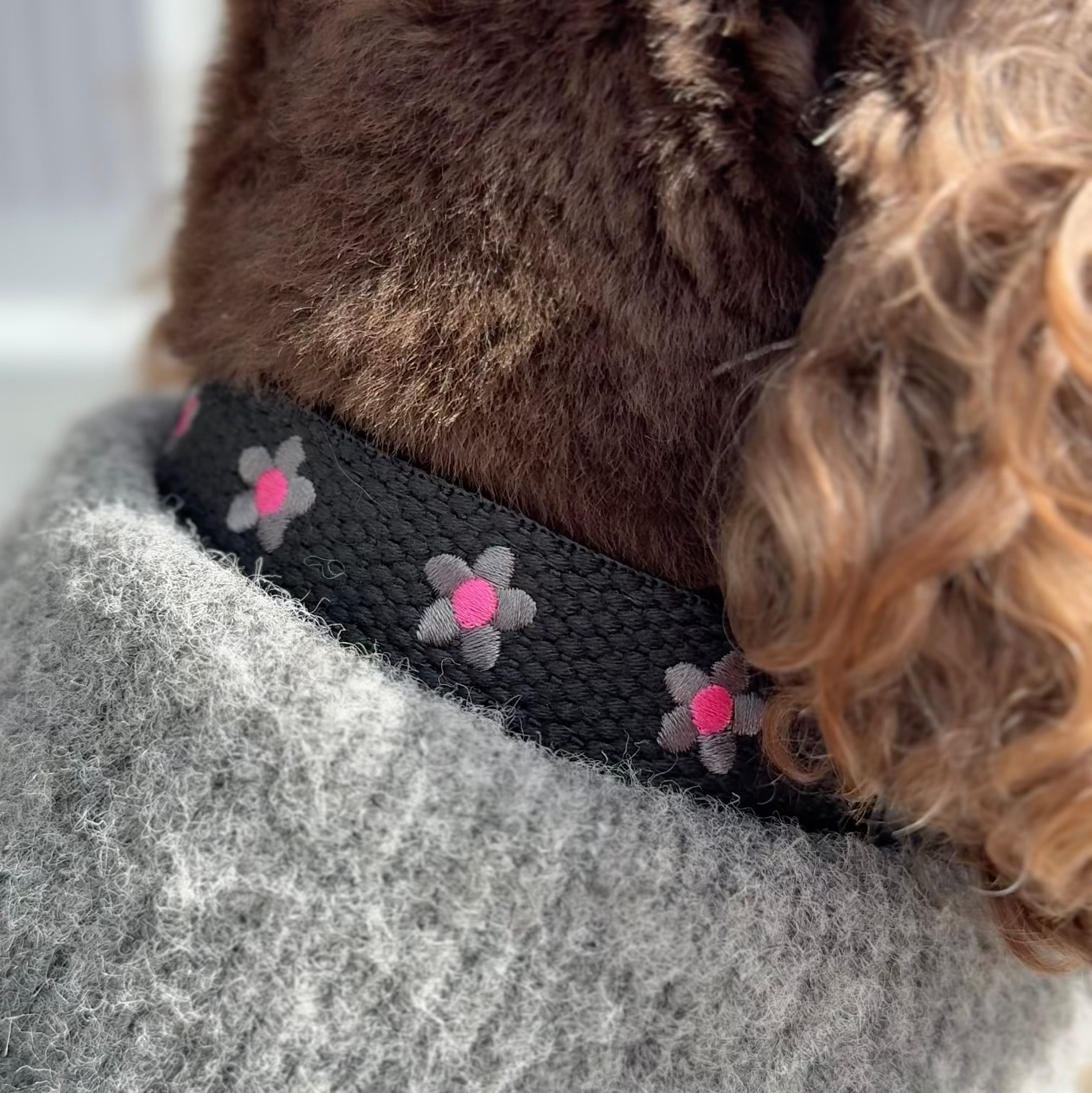 Daisy Dog Collar - Black