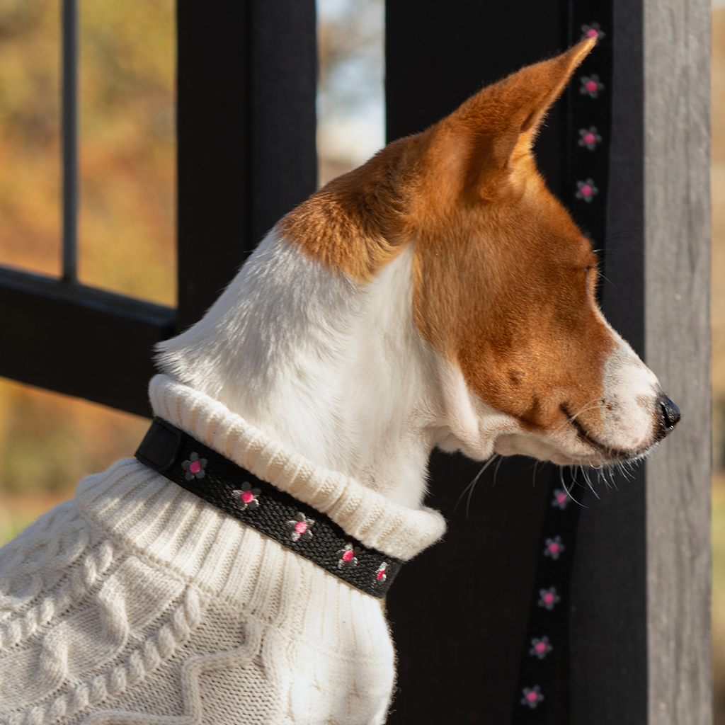 Daisy Dog Collar - Black