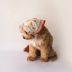 Teddy Bear Bandana