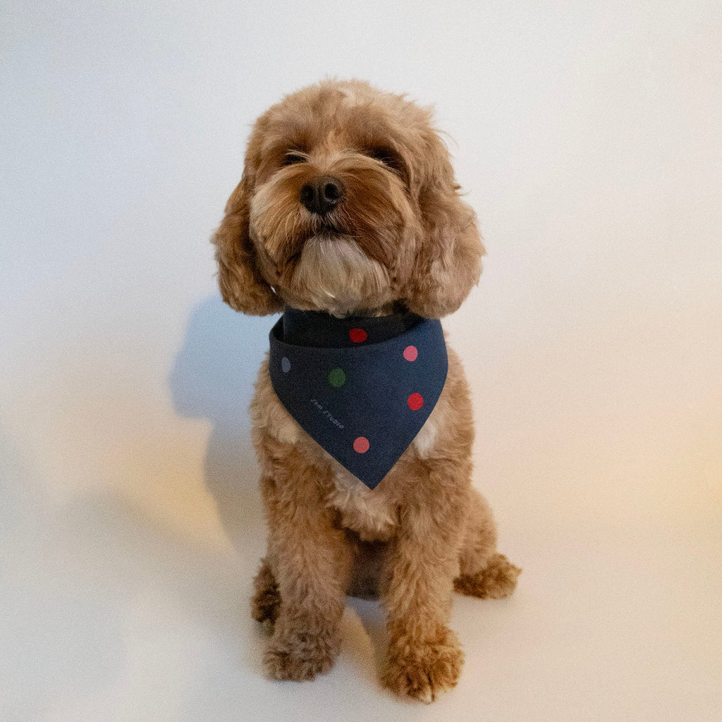 Polka Dot Bandana