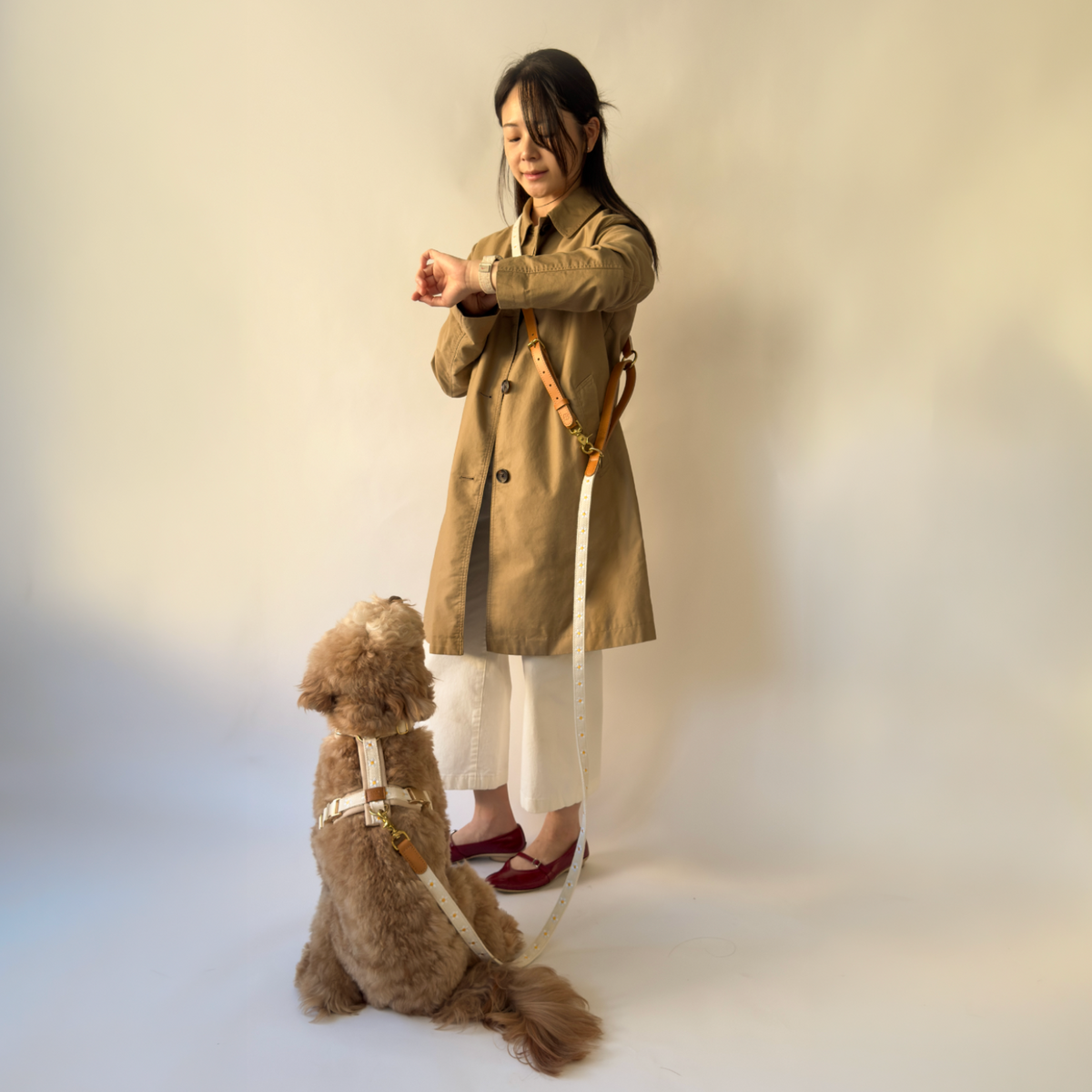 Daisy Harness & Hands-Free Leash