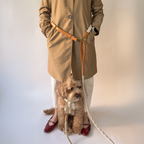 Daisy Harness & Hands-Free Leash